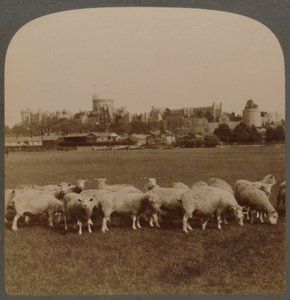 Vista geral Castelo de Windsor, Inglaterra, 1896. de Unbekannt