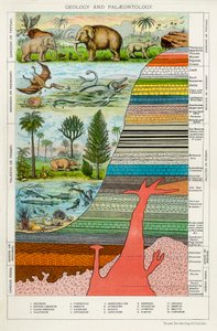 Geologia e Paleontologia, c1880 de Unbekannt