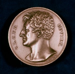Georges Leopold Chretien Frederic Dagobert, Barão Cuvier, anatomista francês, século XIX de Unbekannt