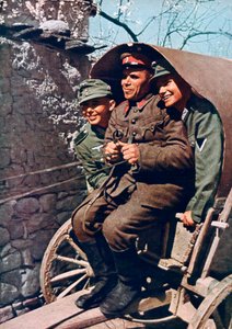 Tropas alpinas alemãs em um carrinho com um soldado búlgaro, Struma Valley, Bulgária, 1941 de Unbekannt