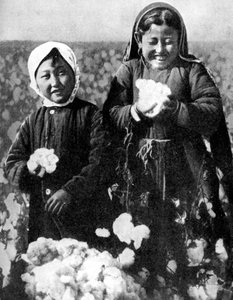 Meninas em um campo de algodão, Cazaquistão, 1936 de Unbekannt