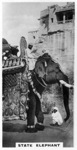 Elefante do governo em traje do estado, sul da Índia, c1925 de Unbekannt