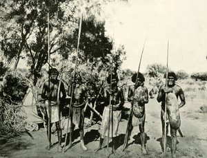 Grupo de homens aborígines, Queensland, Austrália, 1901. de Unbekannt