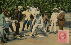 Havana: Rina de Gallos. Briga de Galos, 1918 de Unbekannt