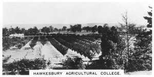 Hawkesbury Agricultural College, Nova Gales do Sul, Austrália, 1928 de Unbekannt