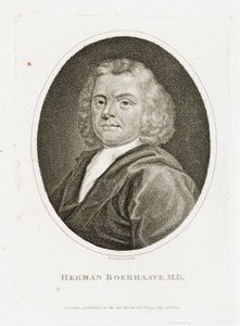 Herman Boerhaave, médico holandês, químico e botânico, início do século XVIII de Unbekannt