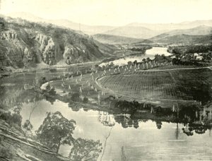 Hop Gardens na Tasmânia, 1901. de Unbekannt