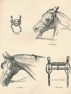 Pedaços de cavalo, bons e ruins, c1909 c1910 de Unbekannt