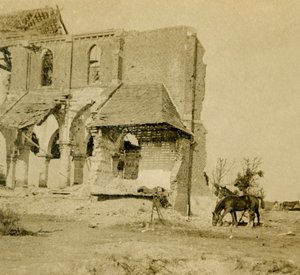 Cavalos pastando perto da igreja em ruínas, Frise, norte da França, c1914-c1918 de Unbekannt