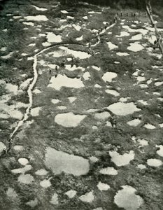 Como o tempo impediu o avanço, 1919. de Unbekannt