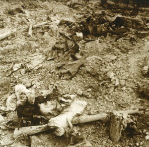Restos humanos, Verdun, norte da França, c1914-c1918 de Unbekannt