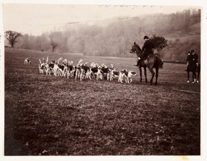 Caçador e cães de caça, c 1905 de Unbekannt
