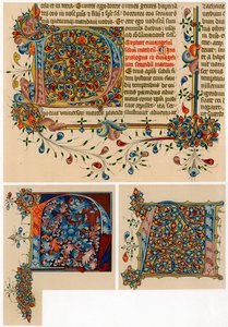 Letras iniciais iluminadas, 1405-1415 de Unbekannt