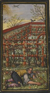 Ilustração para O maravilhoso verão da vida eterna von Jacob Zader, 1603 de Unbekannt