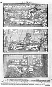 De um livro do cânon da cordialibus médica por Avicena, 1556 de Unbekannt