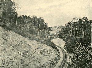 Nas faixas de Blackall, 1901. de Unbekannt