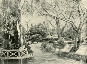 Nos jardins botânicos, Adelaide, 1901. de Unbekannt