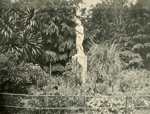Nos jardins de Fitzroy, Melbourne, 1901. de Unbekannt