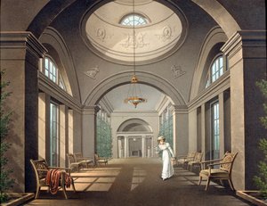 Interior do aviário no palácio Pavlovsk, meados do século XIX de Unbekannt