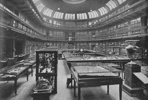 Interior do Museu Geológico, Jermyn Street, 1904 de Unbekannt