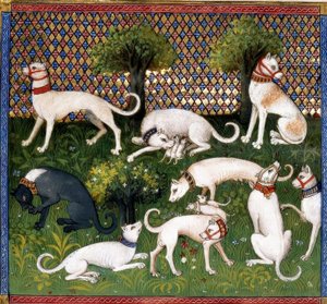 Jagdhunde (Alan) - Livro de Caça de Unbekannt