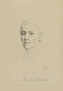 Jean-Baptiste Pierre Antoine de Monet, cavaleiro de Lamarck 1744-1829, c. 1810. de Unbekannt