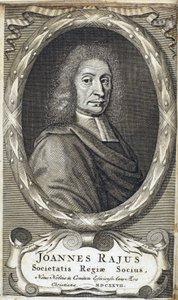 John Ray (Wray), naturalista inglês, c 1700 de Unbekannt