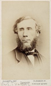 John Tyndall, físico irlandês, c 1875 de Unbekannt