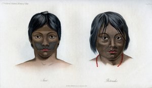 Juri e Botocudos, da nação Brasilio-Guarani, 1848 de Unbekannt