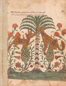 Kalila Upbraiding Dimna, Folio de um Kalila wa Dimna, século 18. de Unbekannt