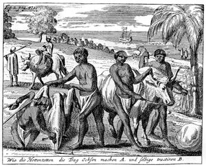 Bois de invasão de Khoikhois, África do Sul, século XVIII 1931 de Unbekannt