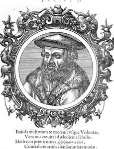 Leonhard Fuchs, botânico e médico alemão de Unbekannt