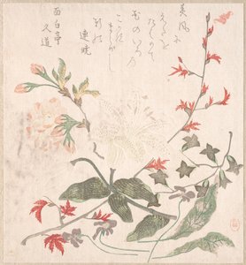 Lírio, violetas, flores de cerejeira, forsítia e um ramo de bordo vermelho, século 18-19. de Unbekannt
