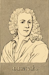 Linne, 1707-1778, 1830. de Unbekannt
