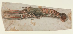 Lagosta, 1600s. de Unbekannt