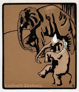 Elefantes de Lockharts, século XIX de Unbekannt