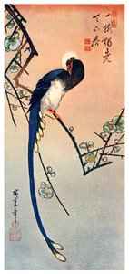 Pássaro azul de cauda longa no ramo da ameixeira em flor, século XIX 1925 de Unbekannt
