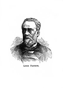 Louis Pasteur, microbiologista e químico francês do século XIX, século XX de Unbekannt