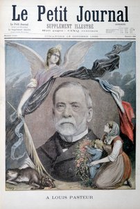 Louis Pasteur, químico francês, 1895 de Unbekannt