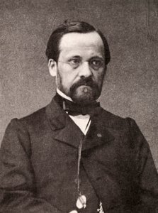 Louis Pasteur, microbiologista e químico francês, século XIX de Unbekannt