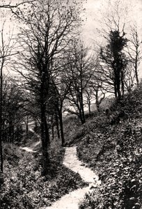Amantes Lane, Fairlight, Hastings, Sussex de Unbekannt