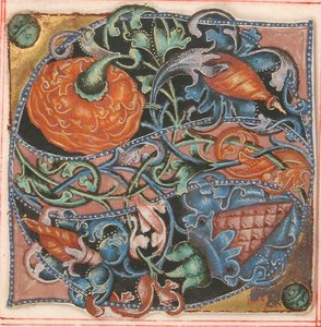 Iluminação do manuscrito com S inicial, de um livro de coro, século XVI. de Unbekannt