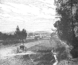 Market Street, Pretória, c1880s de Unbekannt