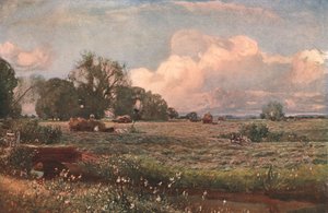 Meadow Sweets, 1893, c1902. de Unbekannt