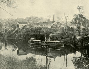Meat Works, perto de Grafton, Nova Gales do Sul, 1901. de Unbekannt