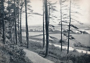 Menai - de Bangor Wood, 1895 de Unbekannt