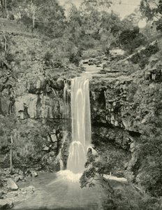 Moorabool Falls, Victoria, 1901. de Unbekannt