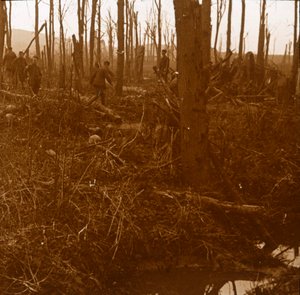 Mount Kemmel, Flandres, Bélgica, c1914-c1918 de Unbekannt