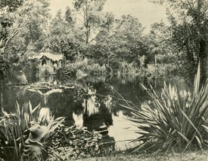Sr. Ryans Gardens, Monte Macedon, Victoria, 1901. de Unbekannt