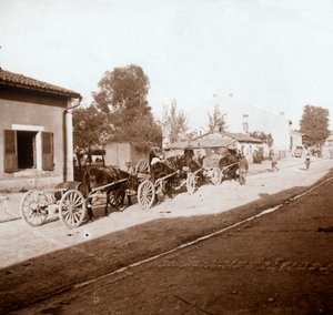Vagões de mula com suprimentos, Verdun, norte da França, c1914-c1918 de Unbekannt